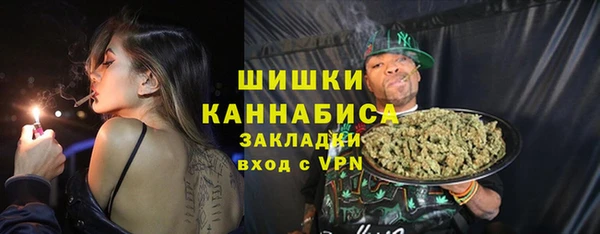 шишки Верея