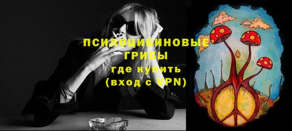 ешки Верхний Тагил