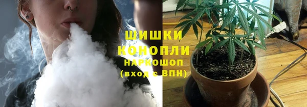 шишки Верея