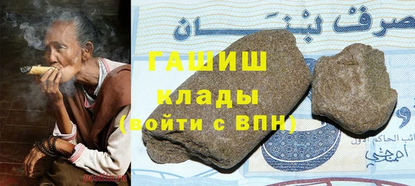 шишки Верея