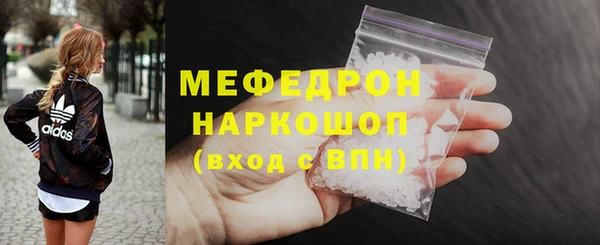шишки Верея