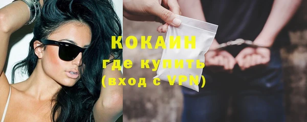 шишки Верея