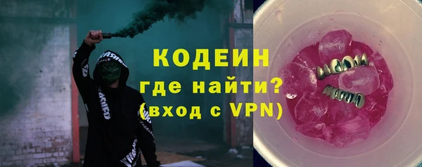 шишки Верея