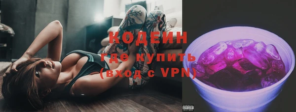 шишки Верея