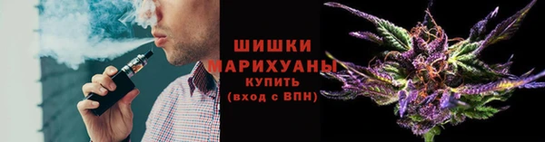 шишки Верея