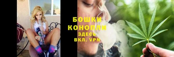 ешки Верхний Тагил