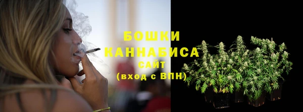 шишки Верея