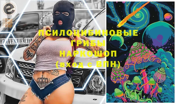 ПСИЛОЦИБИНОВЫЕ ГРИБЫ Анива