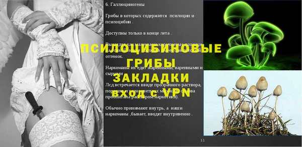 ешки Верхний Тагил