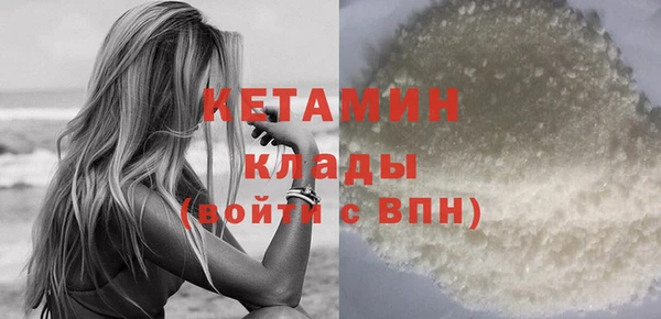 шишки Верея
